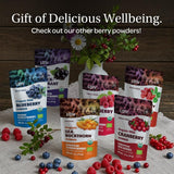 LOOV Biologisch wilde bosbessenpoeder - 29 dagen voorraad 171 g Goed voor smoothies en ontbijt Gevriesdroogd Noord-Europa Geen toegevoegde suiker Naty Shop Gedehydrateerde producten