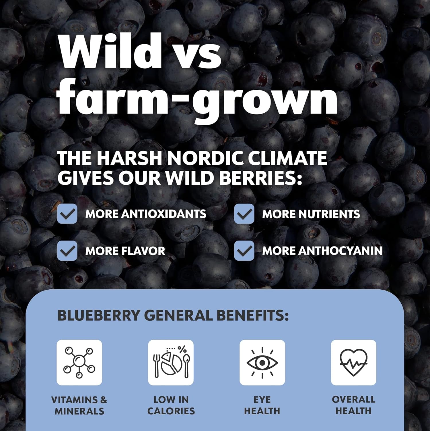 LOOV Biologisch wilde bosbessenpoeder - 29 dagen voorraad 171 g Goed voor smoothies en ontbijt Gevriesdroogd Noord-Europa Geen toegevoegde suiker Naty Shop Gedehydrateerde producten