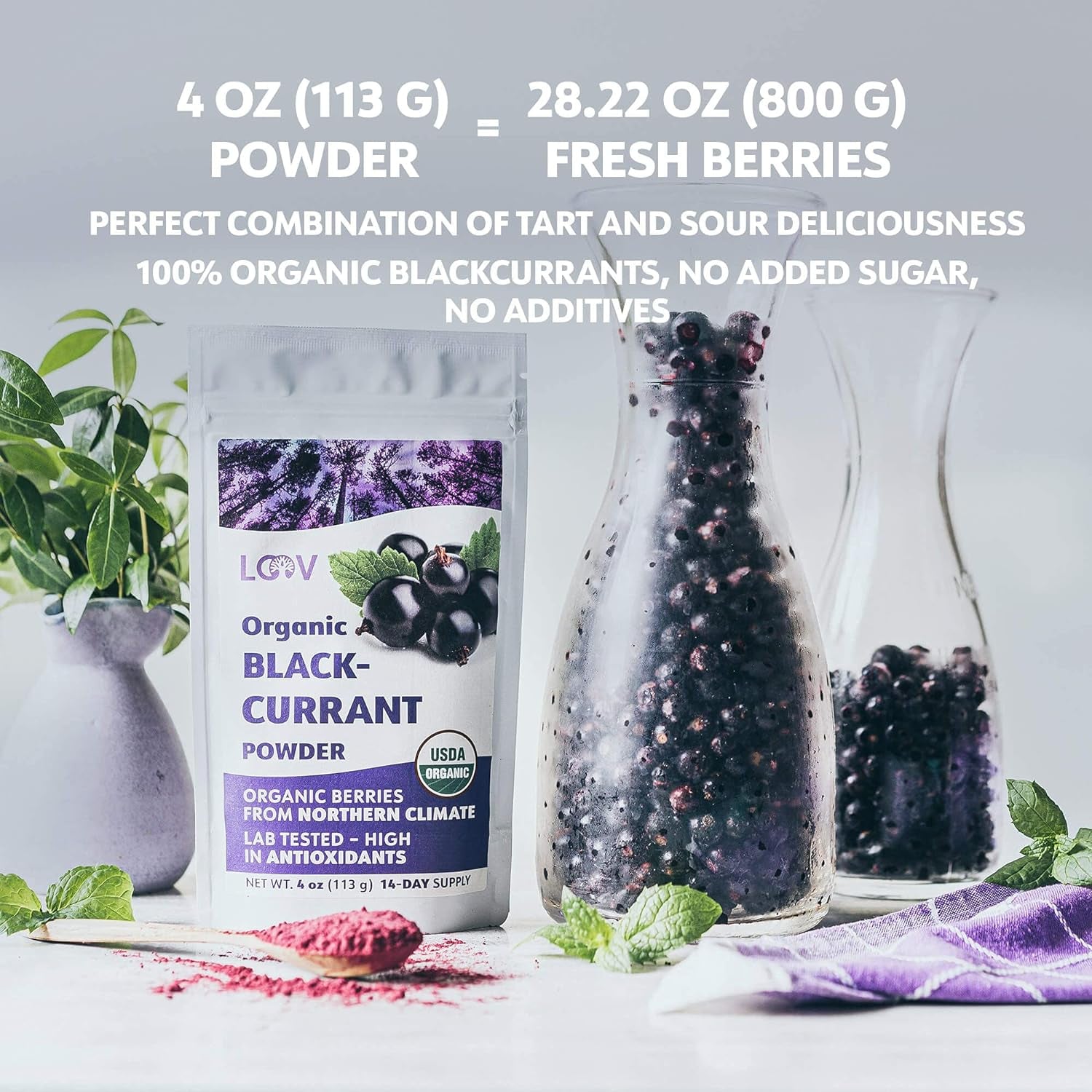 LOOV Biologisch zwarte bessenpoeder, gemaakt van 100% hele zwarte bessen, gevriesdroogde en gepoederde biologische bessen, geteeld in Noord-Europa, geen toegevoegde suikers, 113 g Naty Shop gedehydrateerde producten