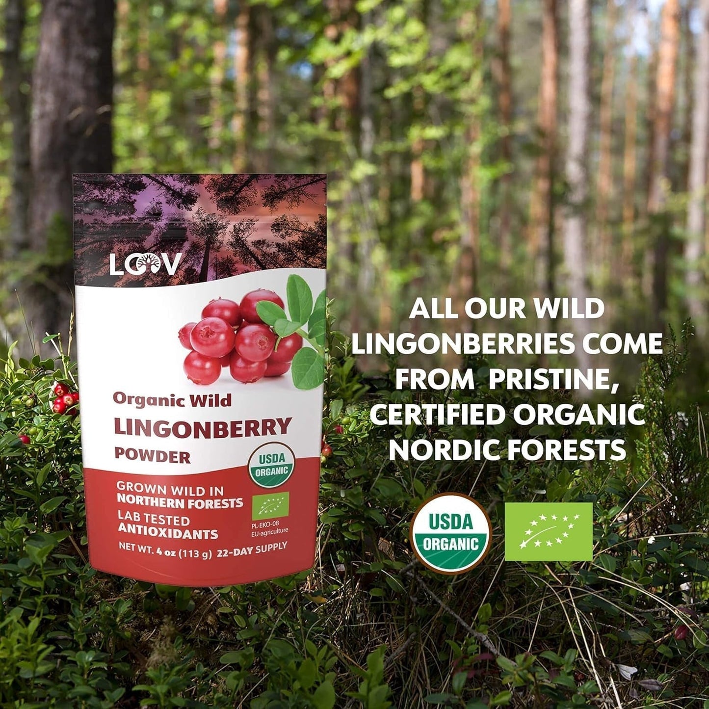 LOOV biologisch bosbessenpoeder, gemaakt van 100% hele, gevriesdroogde wilde bosbessen geoogst in de bossen van Noord-Europa, 113g, zonder toegevoegde suikers Naty Shop Gedehydrateerde Producten