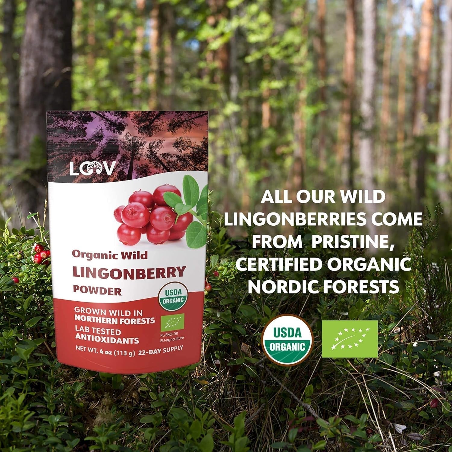 LOOV biologisch bosbessenpoeder, gemaakt van 100% hele, gevriesdroogde wilde bosbessen geoogst in de bossen van Noord-Europa, 113g, zonder toegevoegde suikers Naty Shop Gedehydrateerde Producten