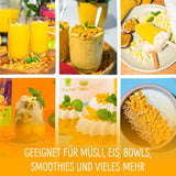 Gevriesdroogde mango: 100g gevriesdroogd fruit uit malse stukjes mango zonder toegevoegde suiker - gedroogde mango - gedroogde mango - gedroogd fruit - gedroogd fruit van NutriPur Gedroogde producten Naty Shop