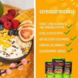 Gevriesdroogde mango: 100g gevriesdroogd fruit uit malse stukjes mango zonder toegevoegde suiker - gedroogde mango - gedroogde mango - gedroogd fruit - gedroogd fruit van NutriPur Gedroogde producten Naty Shop