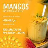 Gevriesdroogde mango: 100g gevriesdroogd fruit uit malse stukjes mango zonder toegevoegde suiker - gedroogde mango - gedroogde mango - gedroogd fruit - gedroogd fruit van NutriPur Gedroogde producten Naty Shop