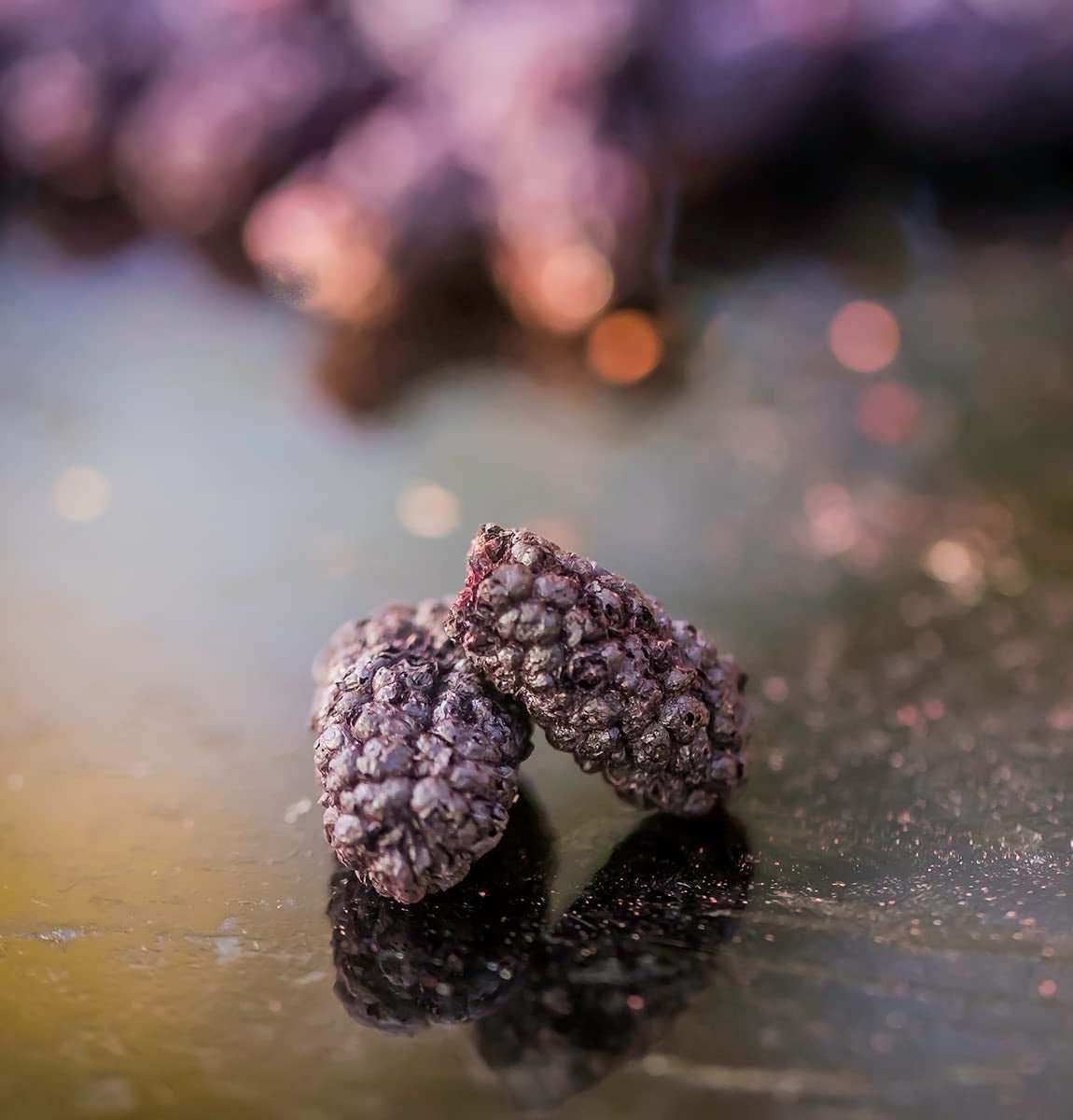 Bramen BRIX | Natuurlijke gedroogde bramen 95 g | Great Taste Award voor gedroogd fruit | Niet-GMO, glutenvrij, veganistisch, geconserveerde vitaminen Naty Shop gedehydrateerde producten