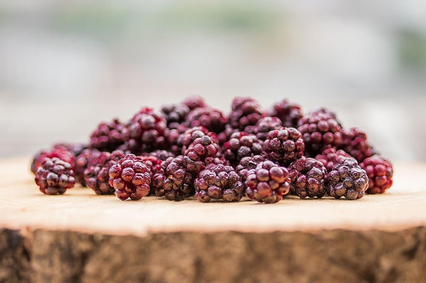 Wilde bramen BRIX | Natuurlijke wilde bramen, gedroogd 95 g | Great Taste Award voor gedroogde bessen | Niet-GMO, glutenvrij, veganistisch, achtergehouden vitamines Naty Shop gedehydrateerde producten