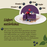 Mynatura biologische gevriesdroogde wilde bosbessen I Bosbessen I Fruit I Bessen I Natuurproduct I Biologische kwaliteit I Zakje (1x 200g) Gedroogde producten Naty Shop