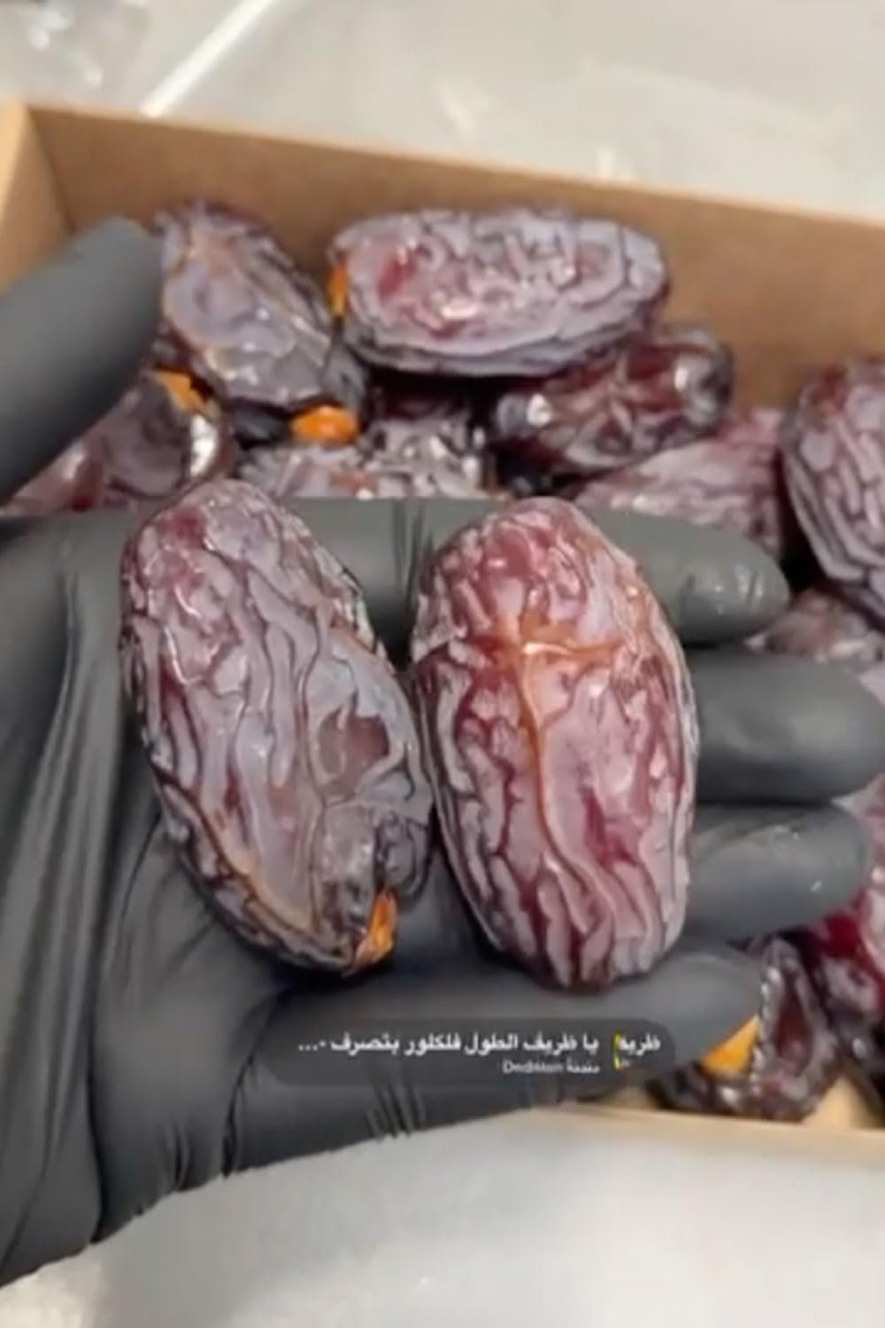 NABALI FAIRKOST FOR ALL Dadels Medjool Medjoul uit Palestina - 100% natuurlijk veganistisch aromatisch traditioneel fris en oosters I zonder conserveermiddelen 5 kg (1 pak), Klein/Medium Gedehydrateerde producten Naty Shop