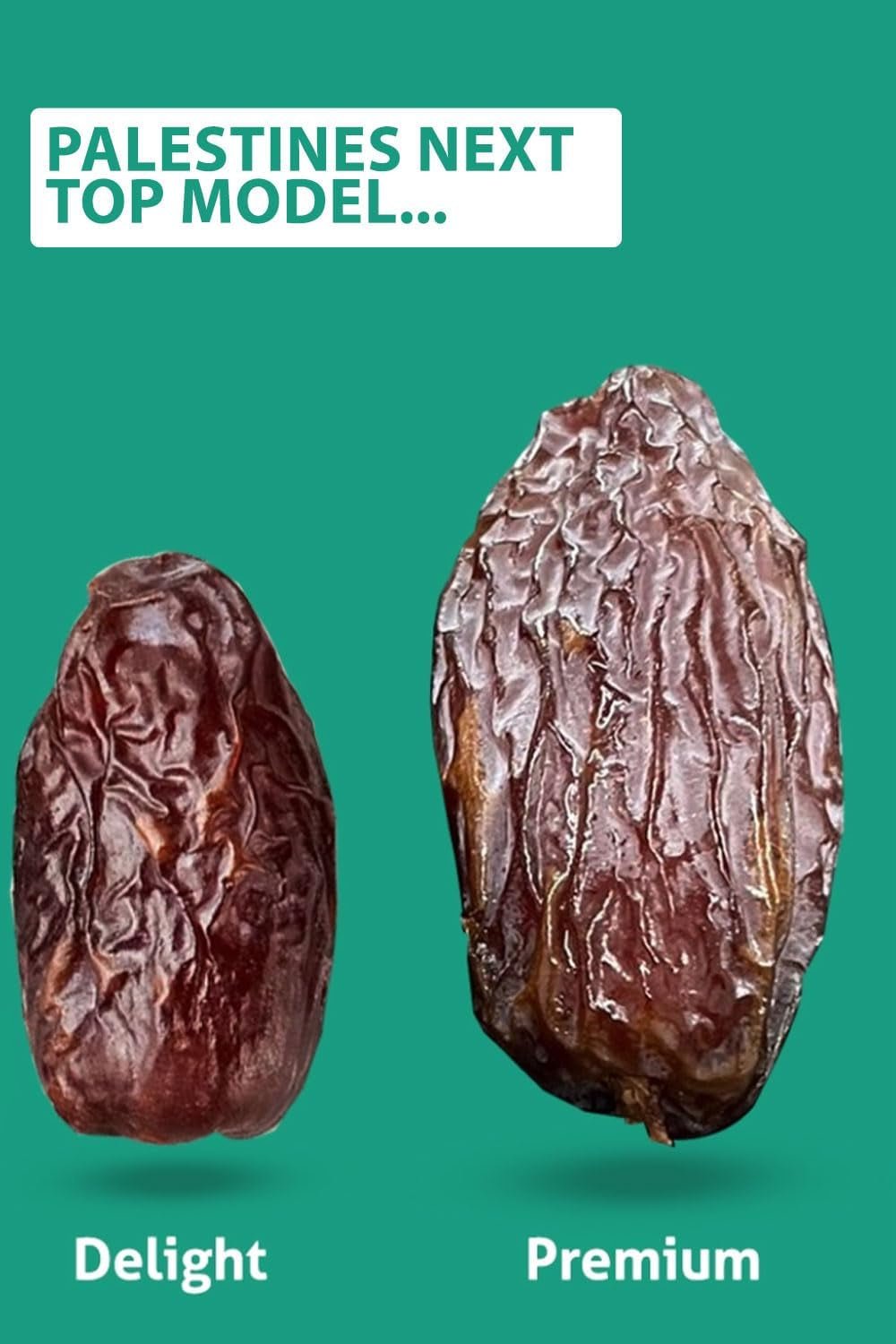 NABALI FAIRKOST FOR ALL Dadels Medjool Medjoul uit Palestina - 100% natuurlijk veganistisch aromatisch traditioneel fris en oosters I zonder conserveermiddelen 5 kg (1 pak), Klein/Medium Gedehydrateerde producten Naty Shop