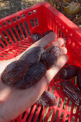 NABALI FAIRKOST FOR ALL Dadels Medjool Medjoul uit Palestina - 100% natuurlijk veganistisch aromatisch traditioneel fris en oosters I zonder conserveermiddelen 5 kg (1 pak), Klein/Medium Gedehydrateerde producten Naty Shop