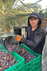 NABALI FAIRKOST VOOR ALLEN Medjoul - Medjool Dadels Keuze I - 100% natuurlijk aromatisch fris oriëntaals zacht I zoet als honing en gekarameliseerd I Herkomst: Palestina I (1x1KG) Gedehydrateerde producten Naty Shop