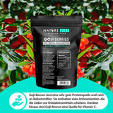 Nature Diet - Gojibessen 1000 g | Gedroogde bessen | Gezond tussendoortje Naty Shop gedroogde producten