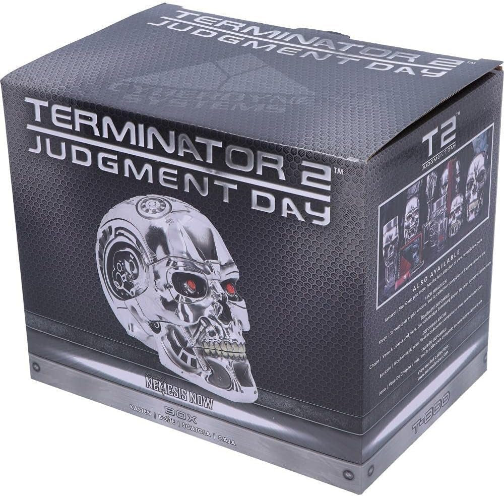 Nemesis Now, T Box, 18 cm, zilver, hars, one size Beeldjes en sculpturen Naty Shop