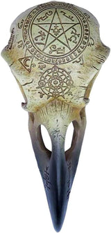 Omega Raven Skull Beeldjes en sculpturen Naty Shop
