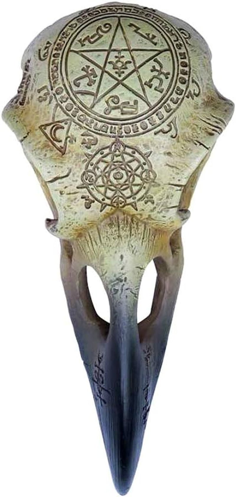 Omega Raven Skull Beeldjes en sculpturen Naty Shop