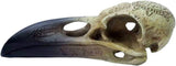 Omega Raven Skull Beeldjes en sculpturen Naty Shop