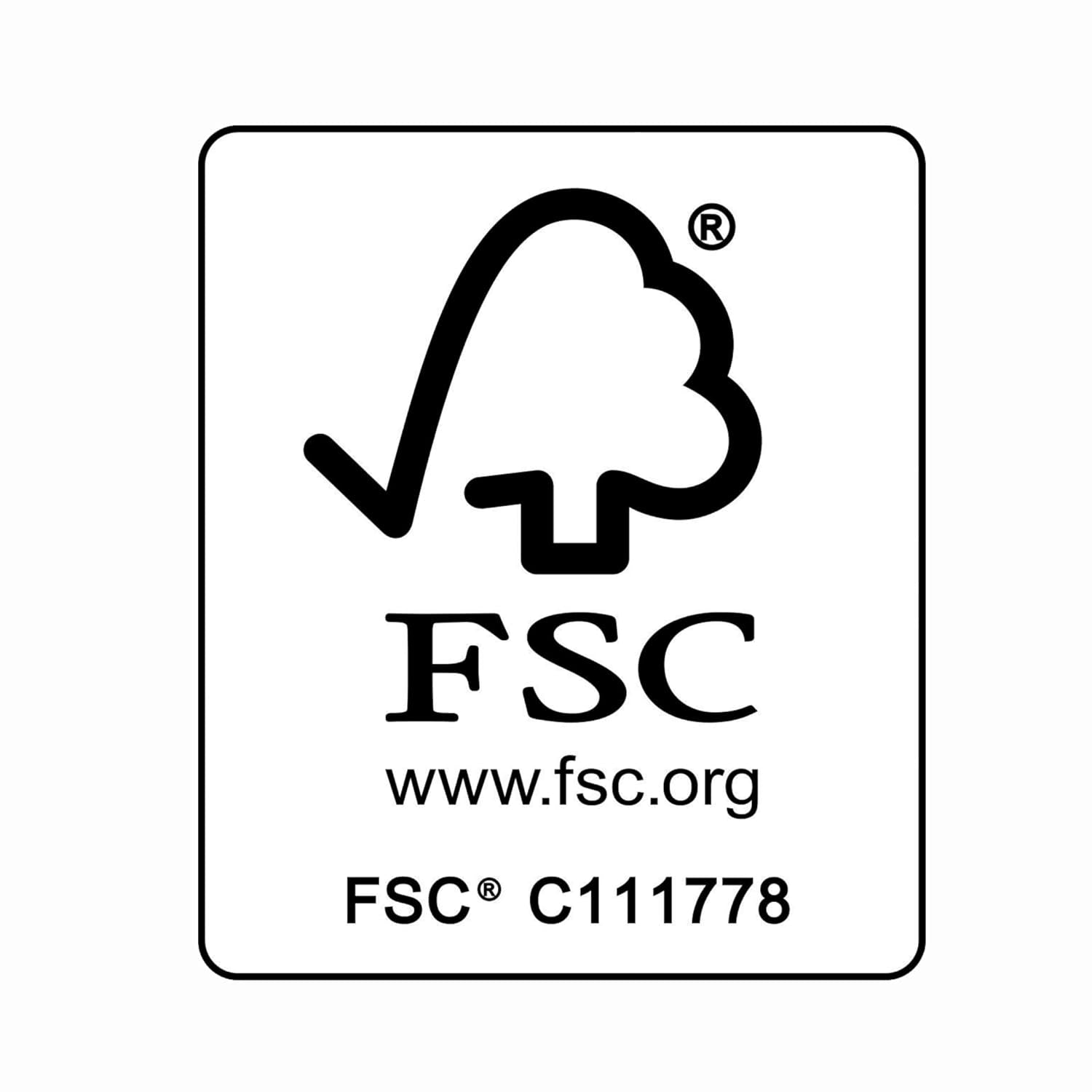 PARSA Beauty babyhaarborstel met geitenhaar - babyhaarborstel van FSC® gecertificeerd beukenhout - borstel voor verzorging van fijn babyhaar - babyborstel Kinderen - Bad en Huidverzorging Naty Shop