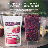Biologisch frambozenpoeder 100% hele frambozen Gevriesdroogd frambozenpoeder 171 g Uit Europa 24 dagen voorraad Geen toegevoegde suiker Naty Shop Gedehydrateerde producten