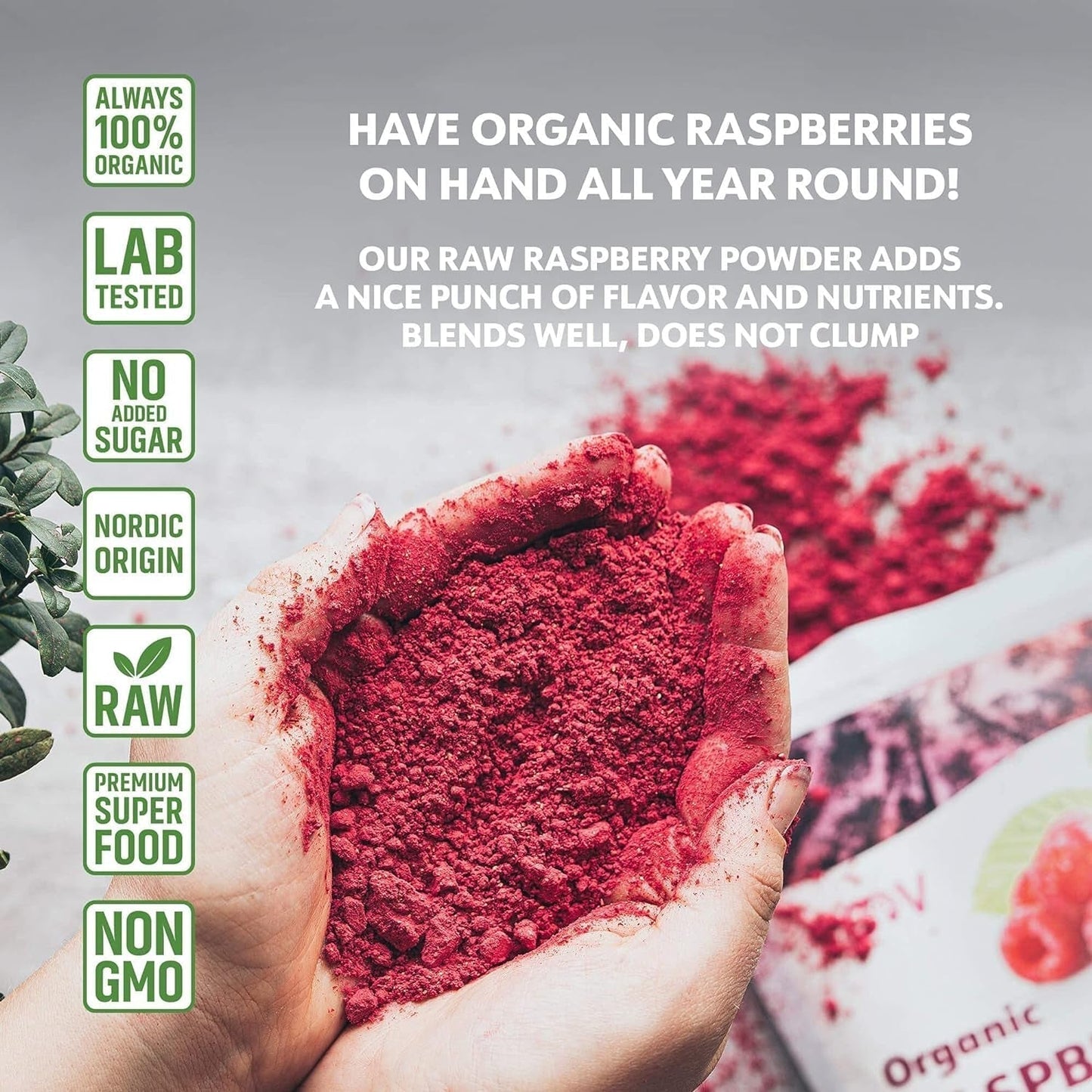 Biologisch frambozenpoeder 100% hele frambozen Gevriesdroogd frambozenpoeder 171 g Uit Europa 24 dagen voorraad Geen toegevoegde suiker Naty Shop Gedehydrateerde producten