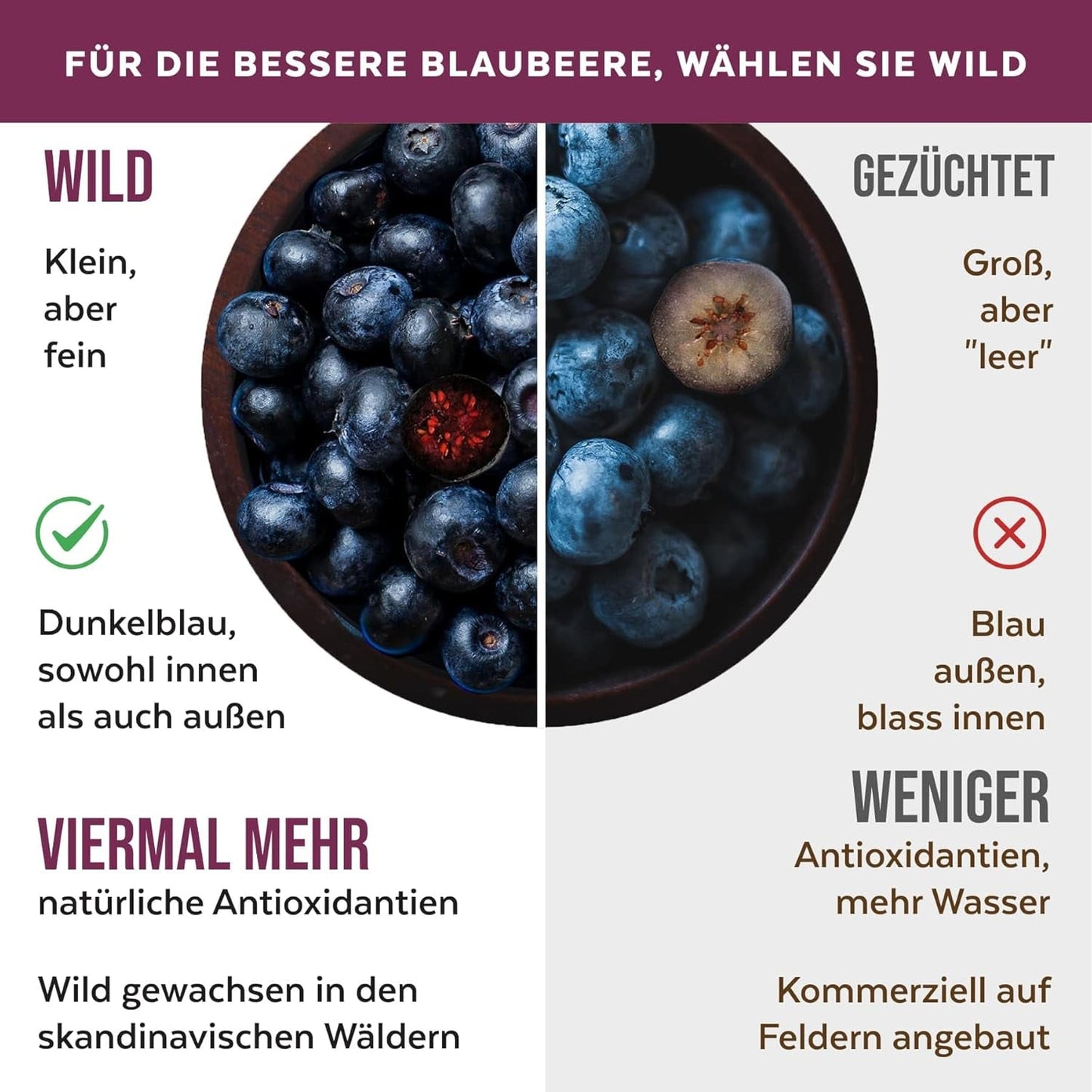 Biologisch wilde bosbessenpoeder, gevriesdroogde hele bosbessen, 100% rauwe voedselkwaliteit, rijk aan antioxidanten en vitamine C, geen toegevoegde suikers, geoogst in Noord-Europa Gedroogde producten Naty Shop