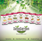 Seba Garden Premium gevriesdroogde aardbeien, heerlijke mediterrane aardbeien, non-GMO en vegan (100 g) Gedroogde producten Mijn winkel