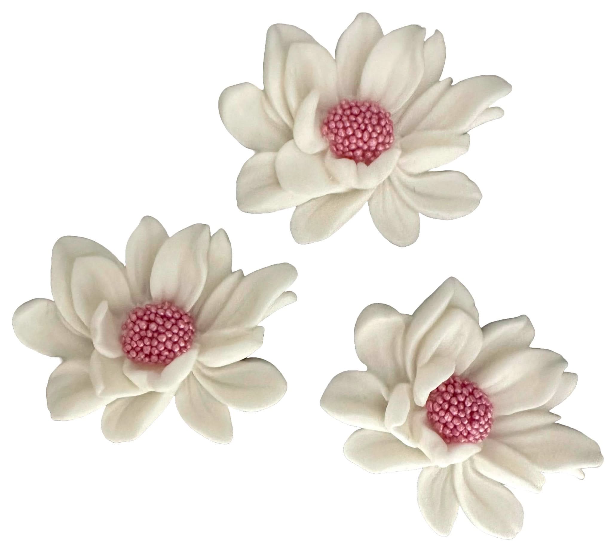 Set van 3 eetbare suikerdecoraties, Witte bloemen Suikerpastadecoraties Nati Shop