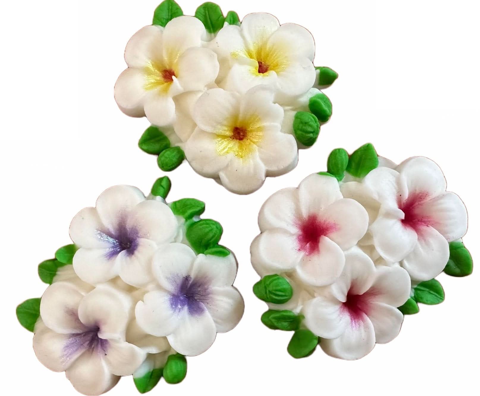 Set van 3 eetbare suikerdecoraties, Plumeria Flowers Sugar Paste Decorations Nati Shop