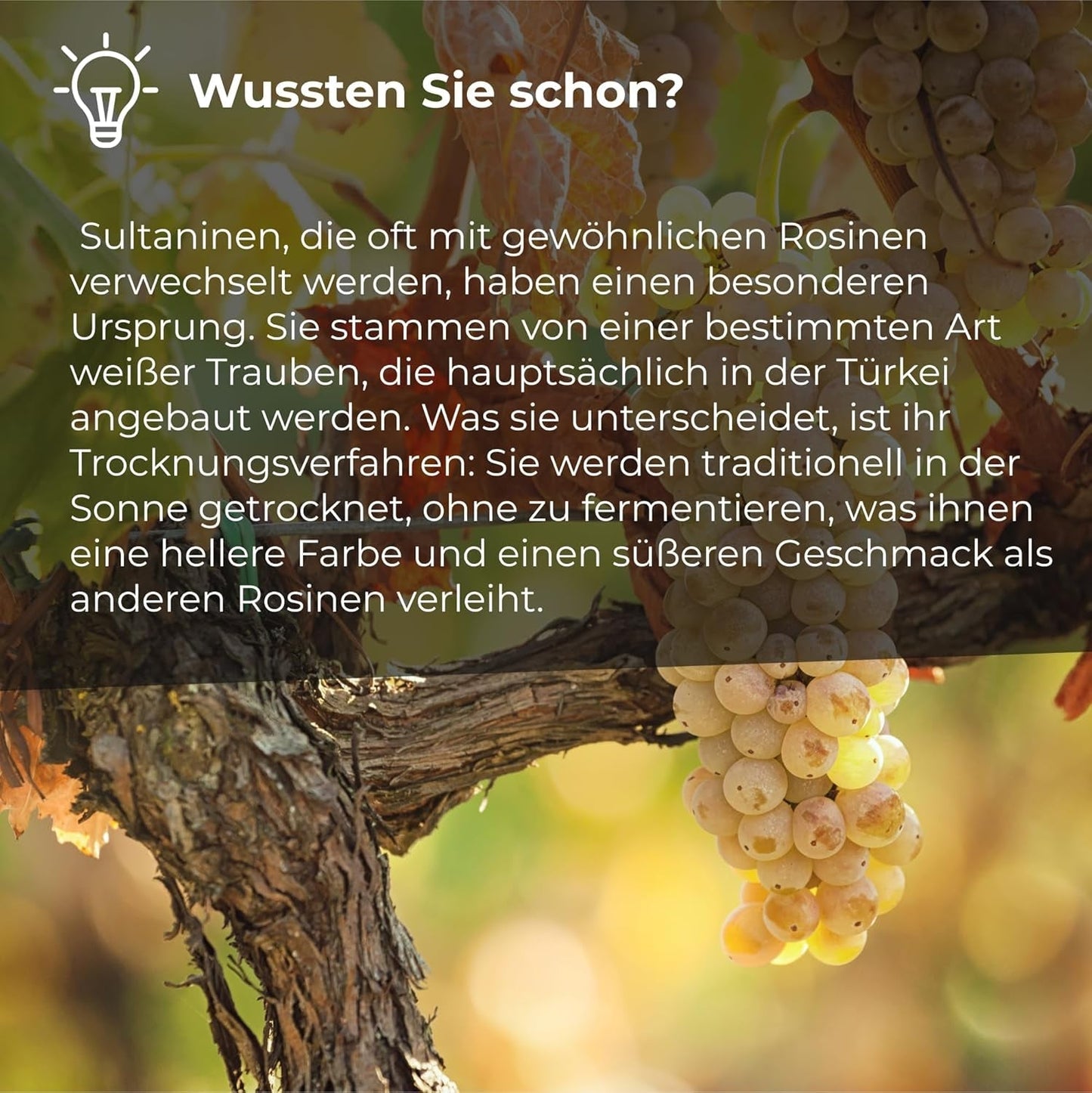 Sultanas rozijnen 1kg | Smyrna Rozijn | Sultanas gedroogde rozijnen uit Izmir | 100% van Turkse afkomst | Kwaliteitssnacks | in Voedingsvezels uit rozijnen | Naty Shop gedehydrateerde producten