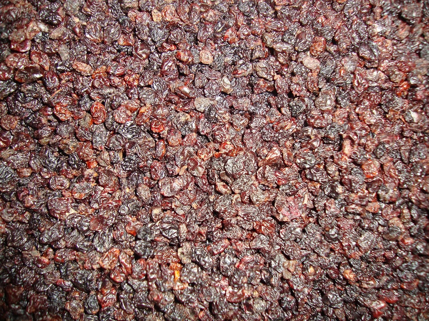Sultana-druiven Bessen 1 kg I Gedroogde sultana-druiven I Korinthische sultana-druiven I Griekse oorsprong | Zoete en zoete pitloze Sultana-druiven | Gedroogde, gedroogde of gedehydrateerde druiven | Geen suiker | Gedroogde producten Naty Shop Standaard titel
