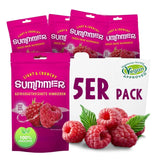 Summer Gevriesdroogde Aardbeien - Pak van 5 - Suikervrij, 100% natuurlijk, heerlijke knapperige snacks voor kinderen en volwassenen, Ideaal voor granen en lunchboxen (55g) Gedehydrateerde producten Naty Shop Pak van 5 Frambozen