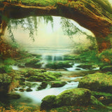 Psychedelisch wandtapijt licht bos wandtapijt zonlicht hangend landschap Huis - Accessoires en Decoratie Naty Shop