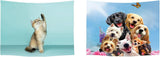 Wandtapijt ulticool huis strand zee palm eiland Wonen - Accessoires en Decoratie Naty Shop Hond Kat