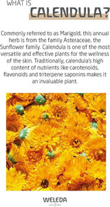 WELEDA Biologische Baby Calendula Verzorgingscrème Lichaam & Gezicht 75ml - Gezichtscrème / huidcrème voor natuurlijke cosmetica met sesamolie en lanoline voor de verzorging van de droge huid. Hydraterende verzorgingscrème voor baby's en kinderen Kinderen - Bad- en huidverzorging Naty Shop