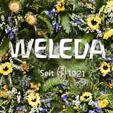 WELEDA Biologische Baby Calendula Verzorgingscrème Lichaam & Gezicht 75ml - Gezichtscrème / huidcrème voor natuurlijke cosmetica met sesamolie en lanoline voor de verzorging van de droge huid. Hydraterende verzorgingscrème voor baby's en kinderen Kinderen - Bad- en huidverzorging Naty Shop