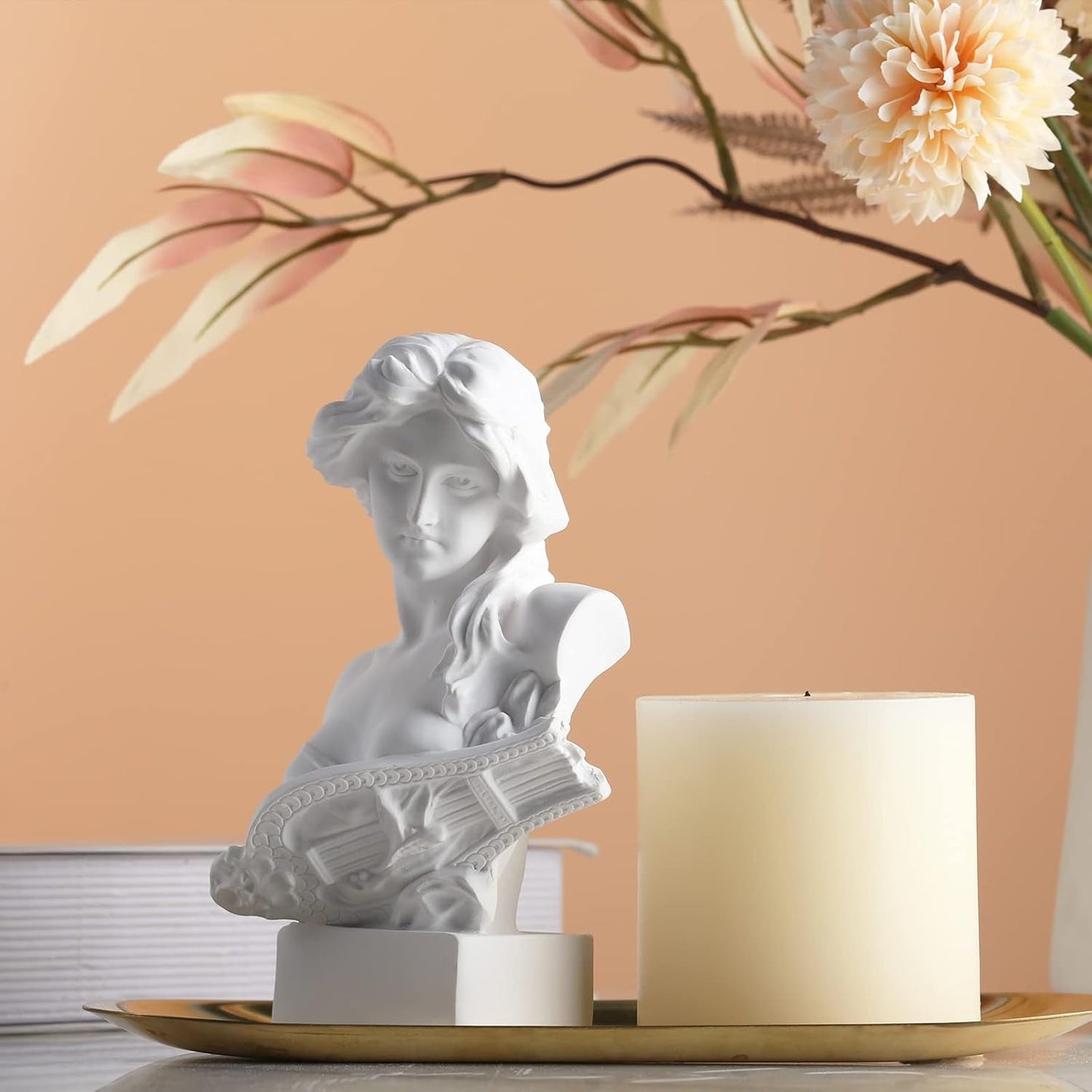 XMGZQ Wit Aphrodite Standbeeld Sculptuur, Hars Griekse Mythologie Buste Standbeeld, voor Coquette Kamer Decoratie, Donkere Academia Kamer Decoratie, Boekenplanken, Partitie, Salontafel Middelpunt Beeldjes en sculpturen Naty Shop